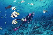 屏东香蕉湾潜水点