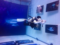 水下摄影画廊首展 潜入水中看照片