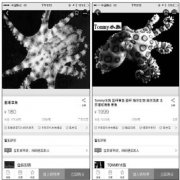 专家：剧毒蓝环章鱼不能当宠物养