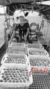 广东拟升级珊瑚保护区